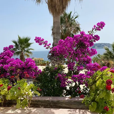 Villa Golden Dreams